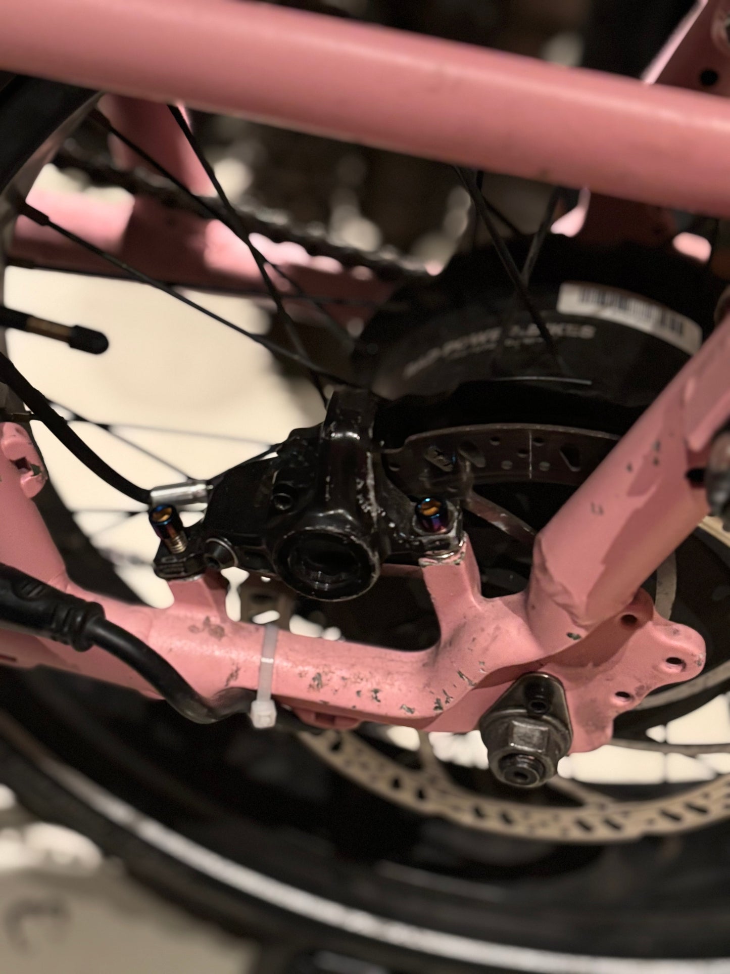 Rad Power Bikes Titanium Bolt Kit