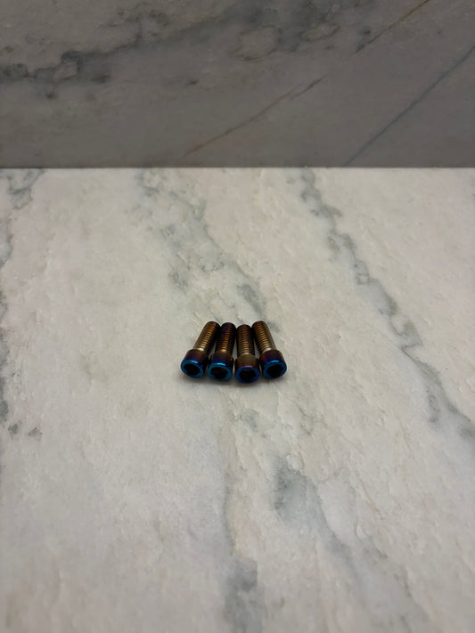 Handlebar Titanium Bolts for Rad Power Bikes