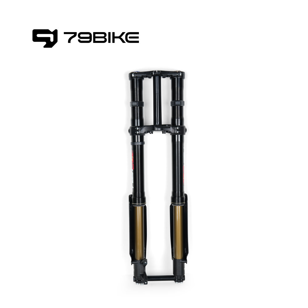 79Bike Falcon Pro FastAce ALX33RC 2.0 Fork (For Replacement)