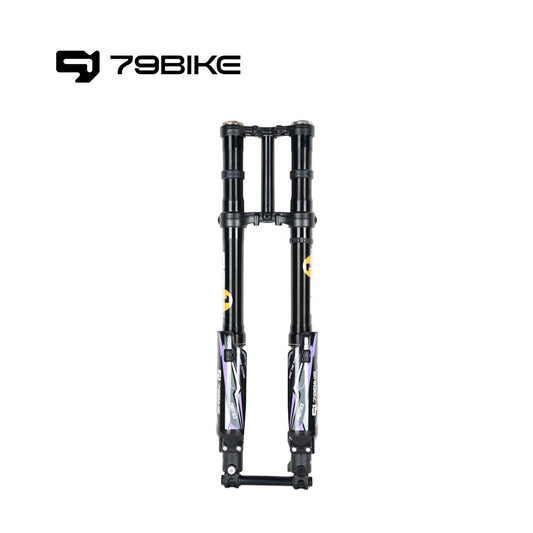 79Bike Falcon Pro FastAce ALX33RC 2.0 Fork (For Replacement)