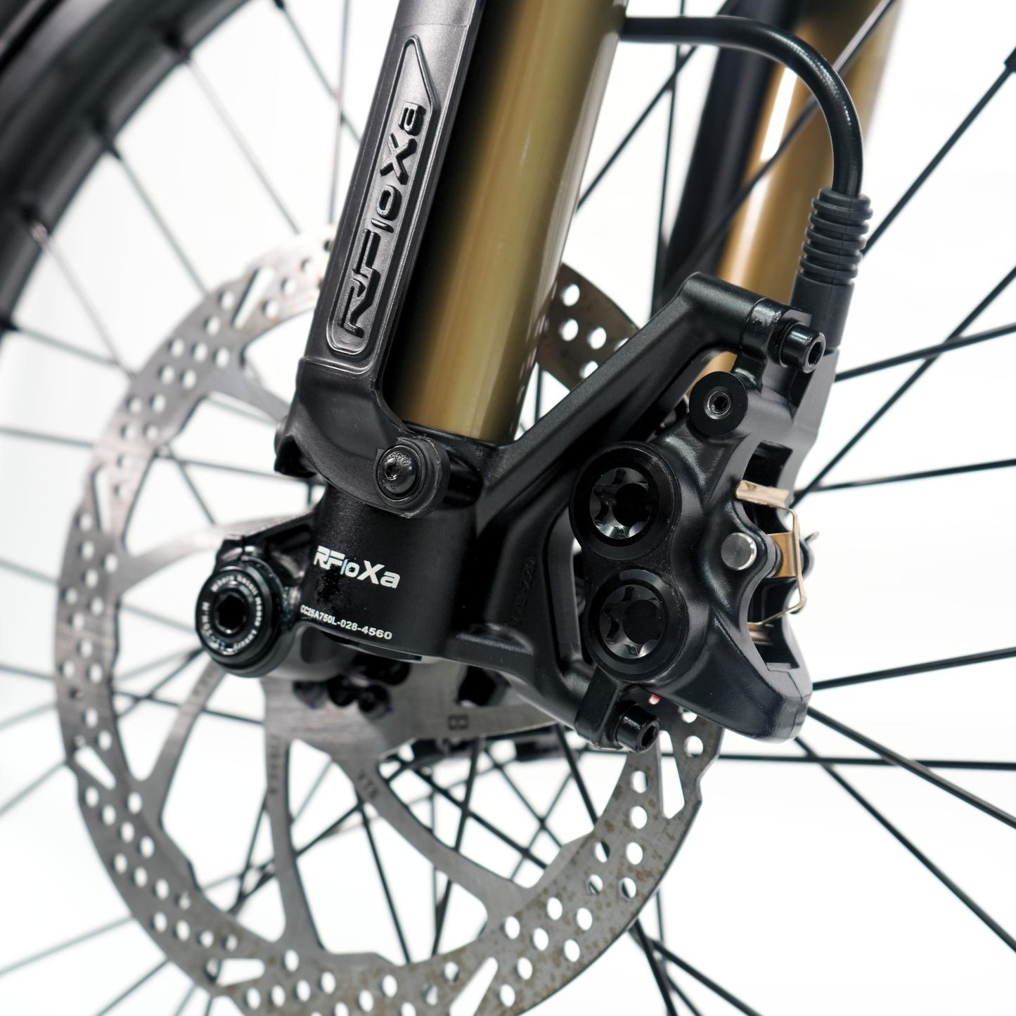 Ventus V1+ EVO Bike