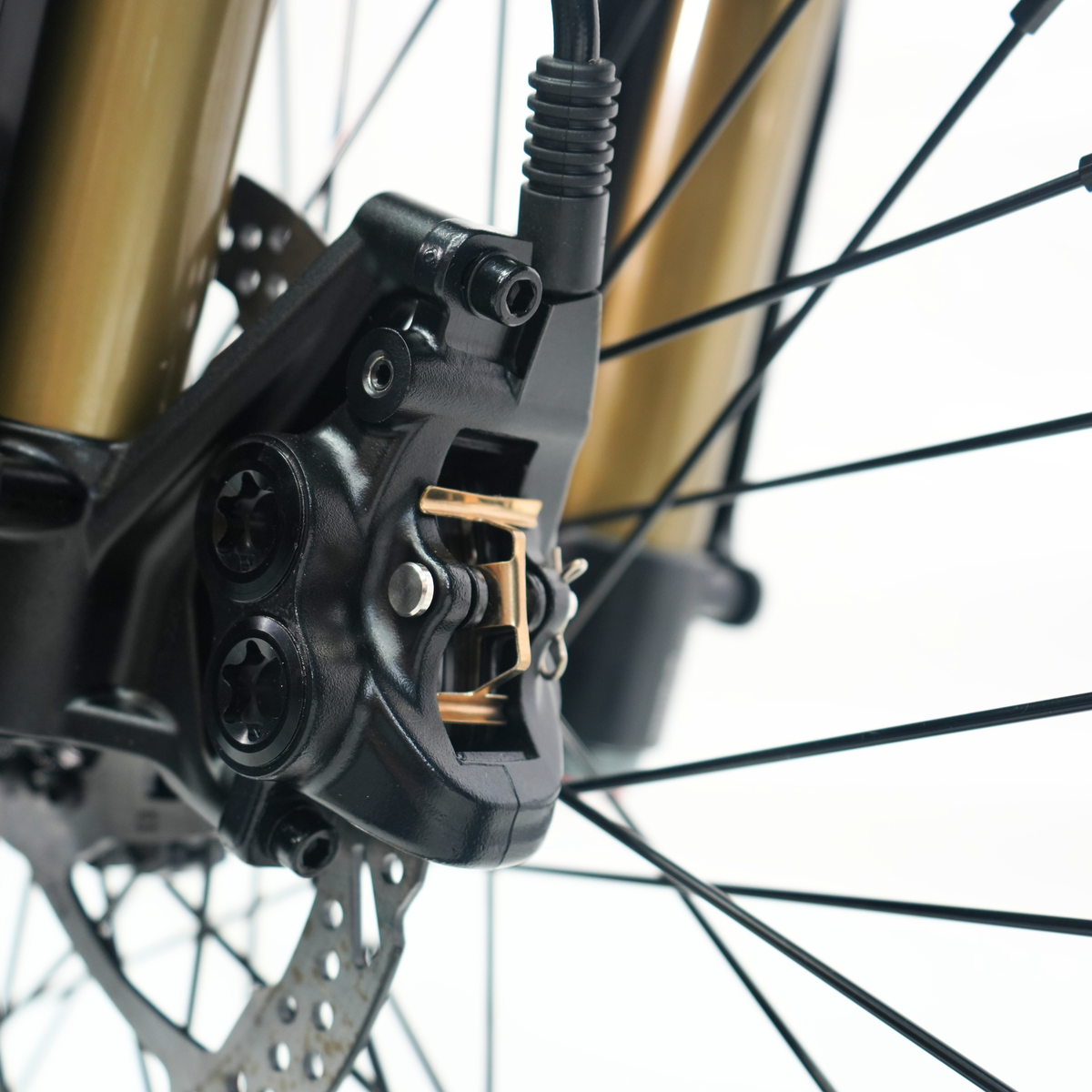 Ventus V1+ EVO Bike