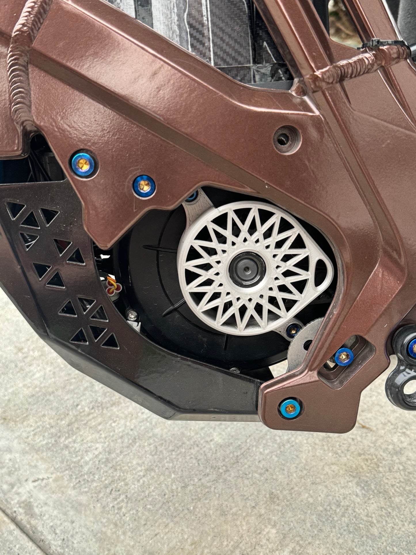 Bash Guard Titanium Bolts