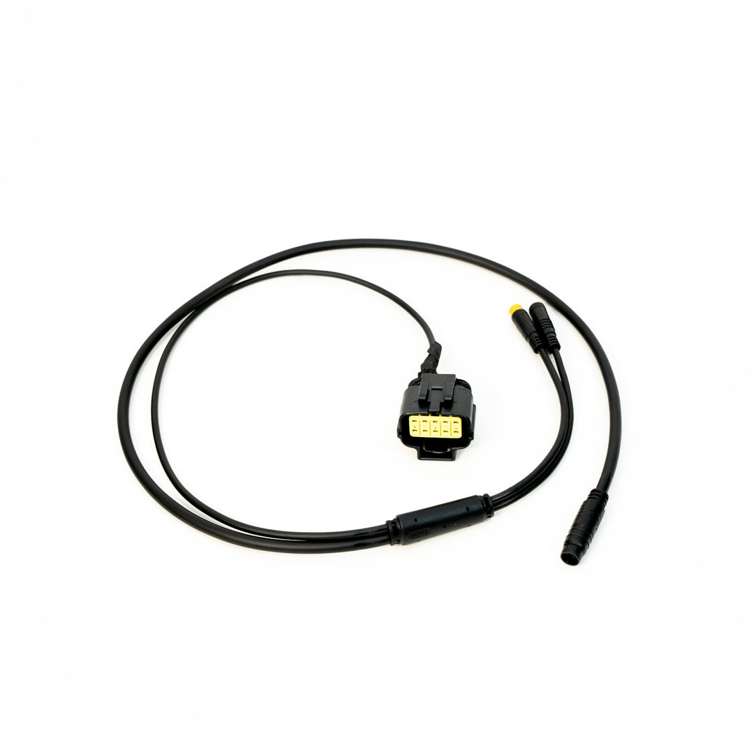 EBMX Ultra Bee Stock Display Harness