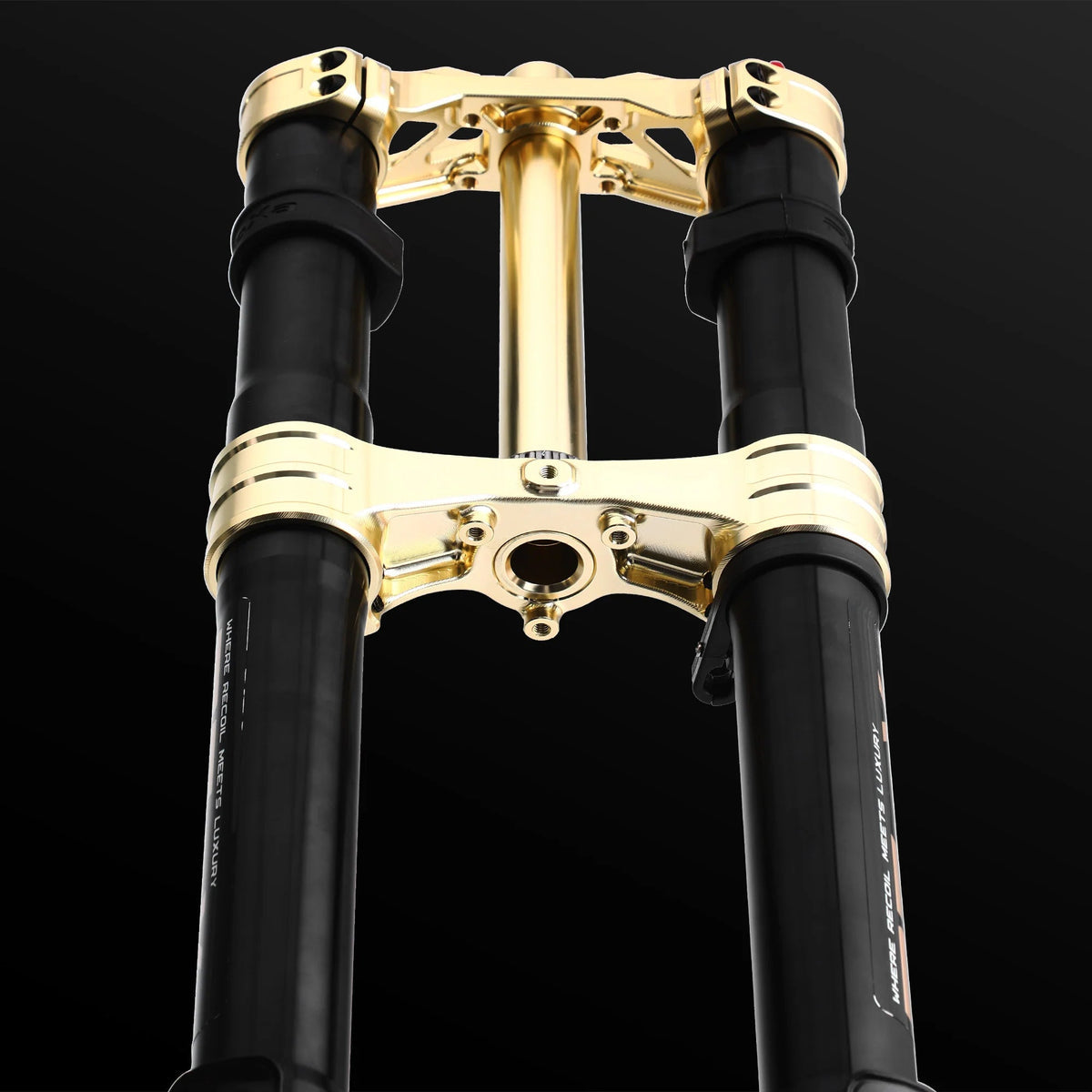 RFloXa Hawk31 MAX (Gold)