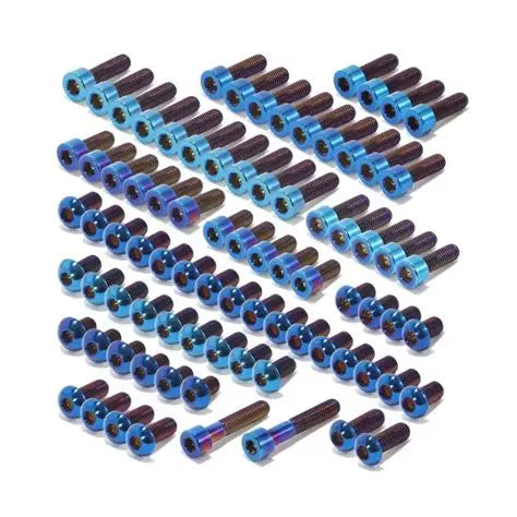E-Ride Pro 2.0/3.0 Titanium Bolt Kit