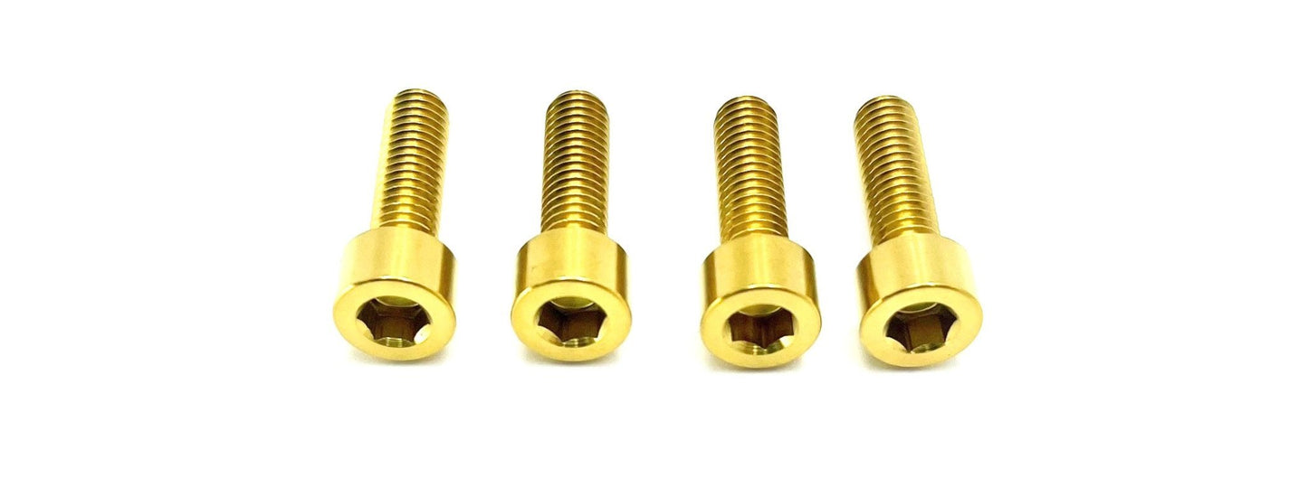AHX12RV (Gravitee) FastAce Fork Titanium Axle Pinch Bolts
